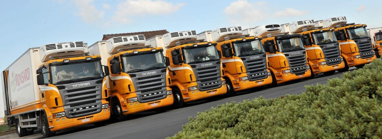 Yellow trucks ronsard